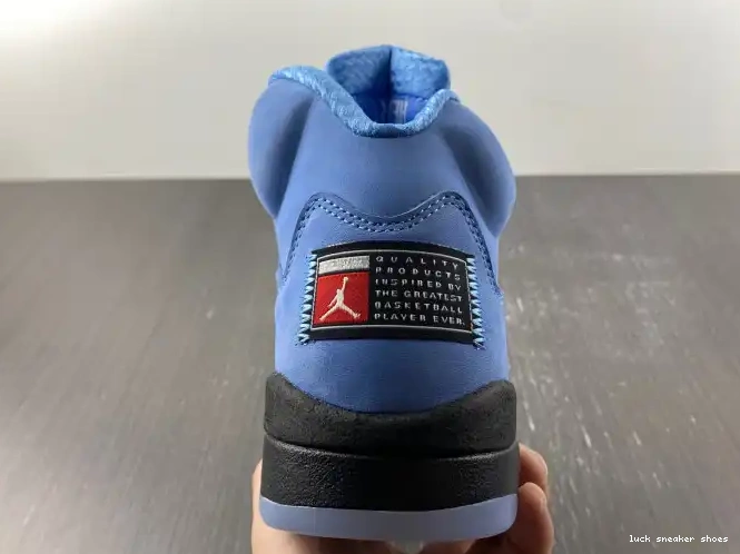 Rep LUCY 5 Jordan UNC DV1310-401 Air 0508